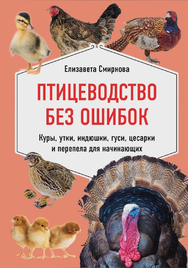 Птицеводство без ошибок. Куры, утки, индюшки, гуси, цесарки и перепела для начинающих. Обложка