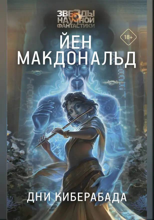 Дни Киберабада. Обложка