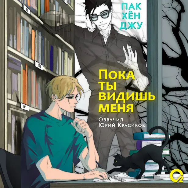 Пока ты видишь меня. Обложка