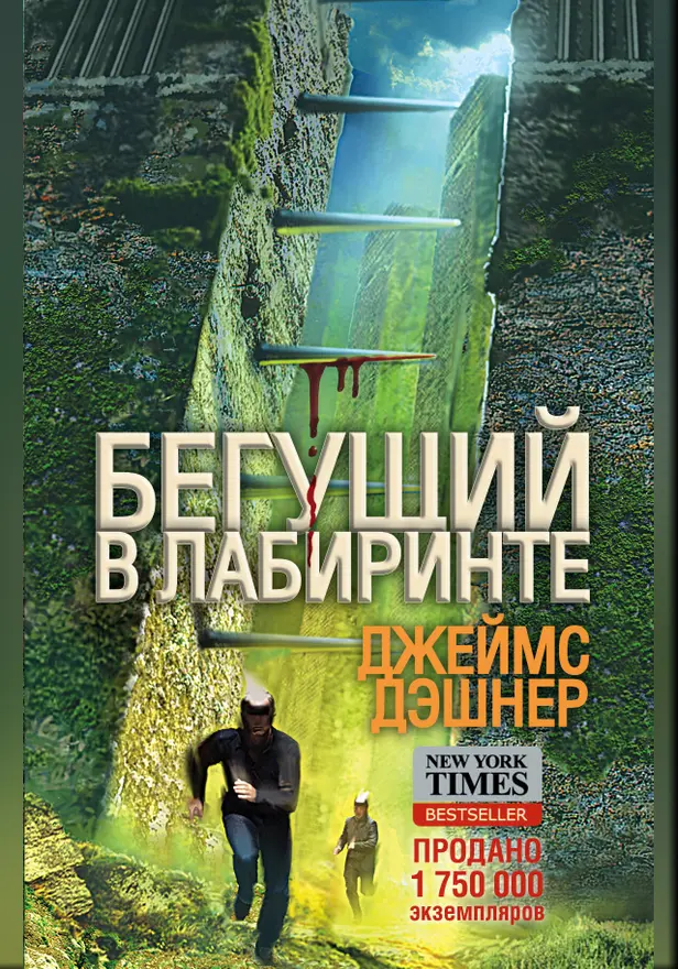 Бегущий по Лабиринту. Обложка