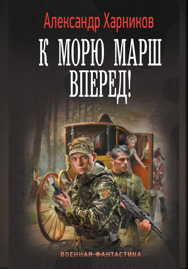 К морю марш вперед!. Обложка