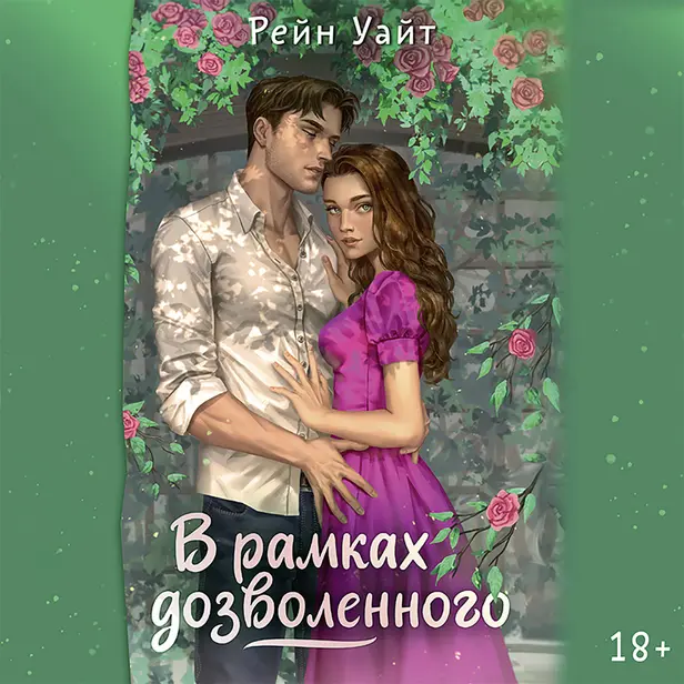В рамках дозволенного. Обложка