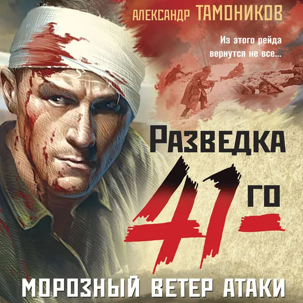 Морозный ветер атаки. Обложка