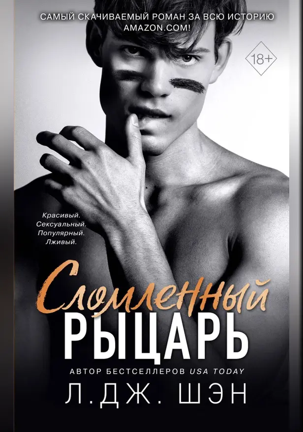 Сломленный рыцарь. Обложка