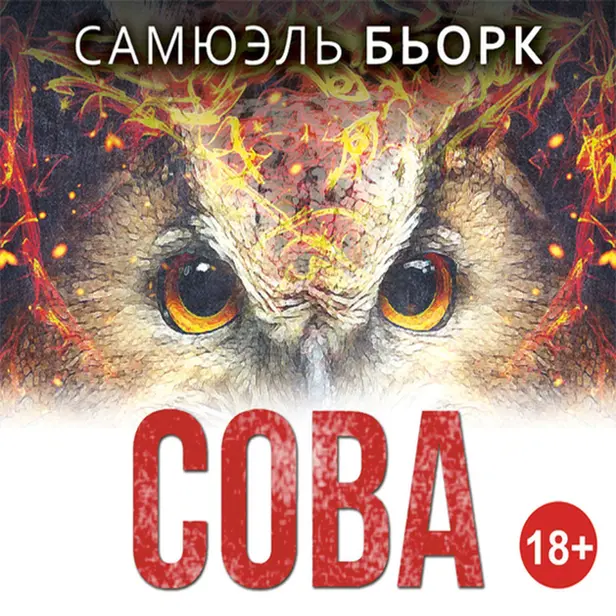 Сова. Обложка