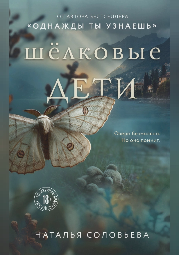 Шелковые дети. Обложка