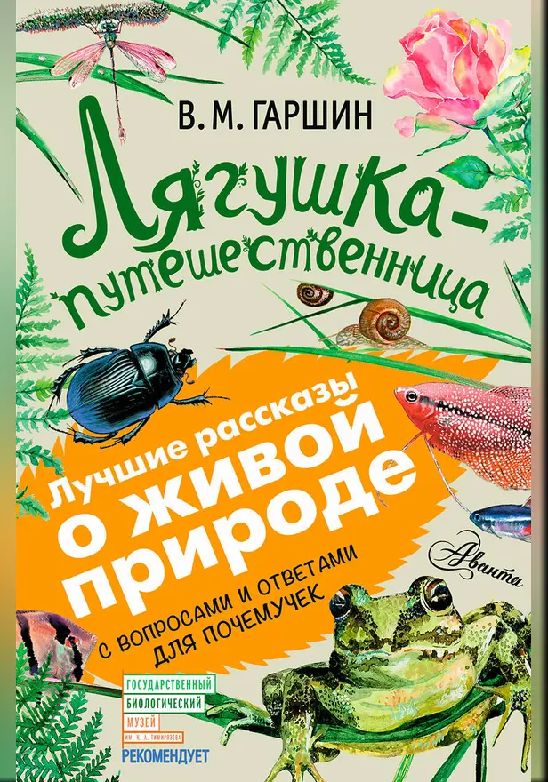 Лягушка-путешественница. Обложка