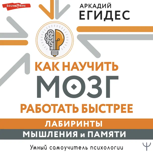 Как научить мозг работать быстрее. Лабиринты мышления и памяти. Обложка