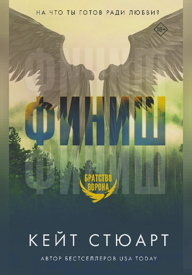 Финиш. Обложка