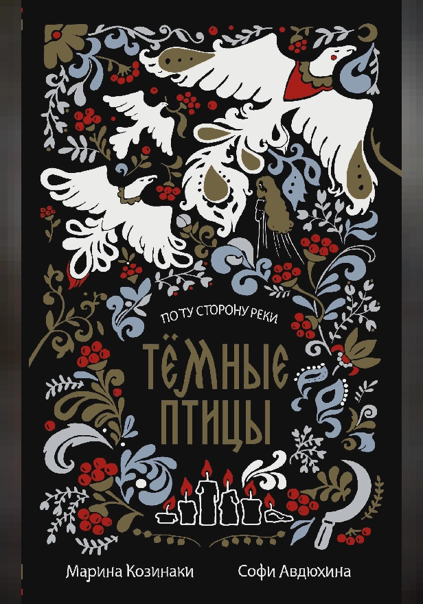 Тёмные птицы. Обложка