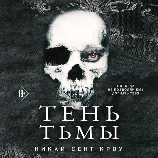 Тень Тьмы. Обложка