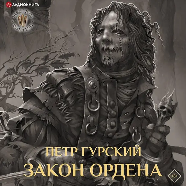 Закон ордена. Обложка