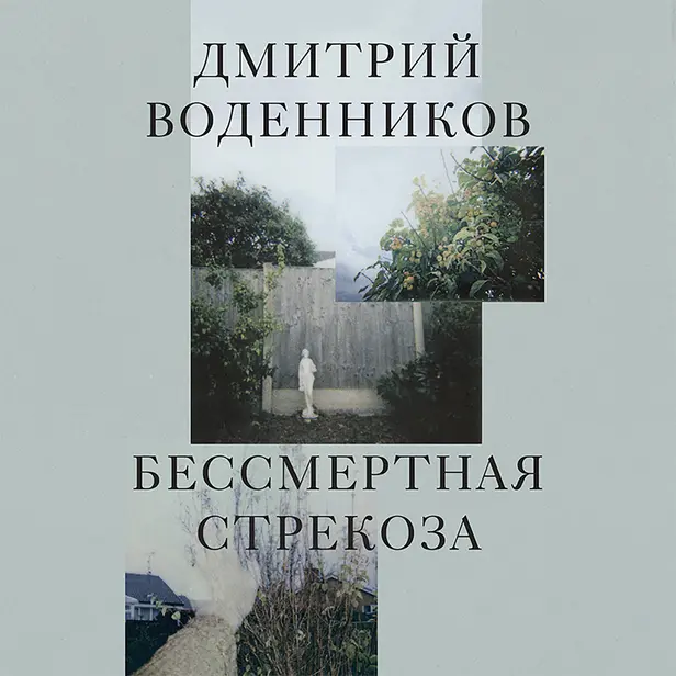 Бессмертная стрекоза. Обложка