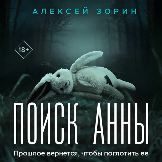 Поиск Анны. Обложка