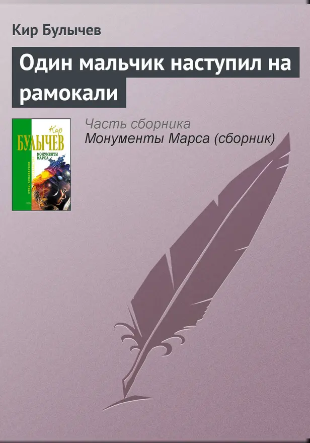 Один мальчик наступил на рамокали. Обложка