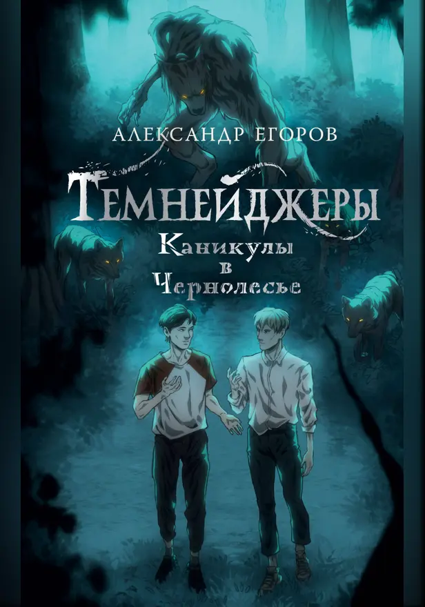 Темнейджеры. Каникулы в Чернолесье. Обложка