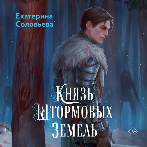 Князь Штормовых земель. Обложка