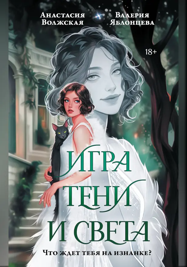 Игра тени и света. Обложка