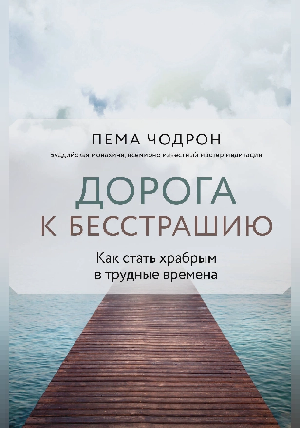 Дорога к бесстрашию. Как стать храбрым в трудные времена. Обложка