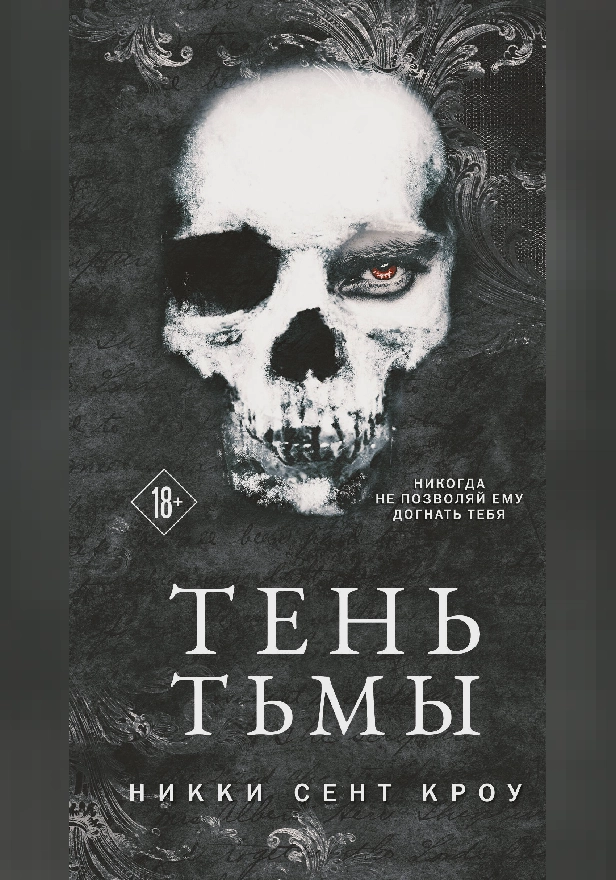 Тень Тьмы. Обложка