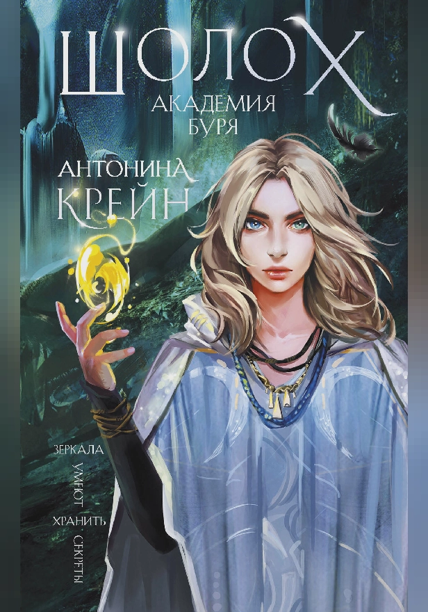 Шолох. Академия Буря. Обложка