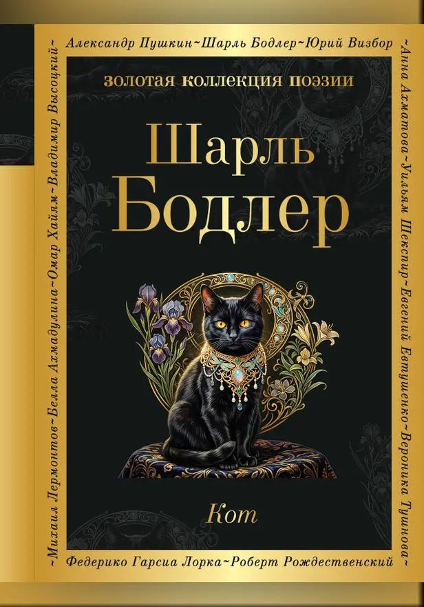 Кот. Обложка