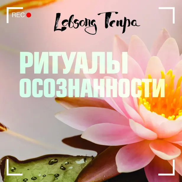 Ритуалы осознанности. Обложка