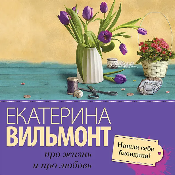 Нашла себе блондина!. Обложка