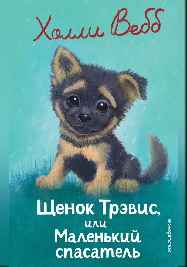 Щенок Трэвис, или Маленький спасатель. Обложка