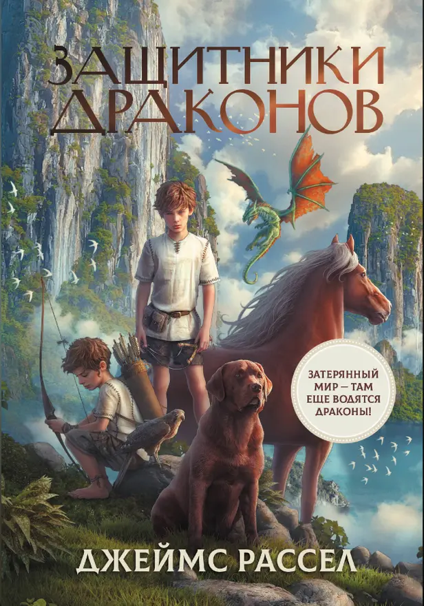 Защитники драконов. Обложка