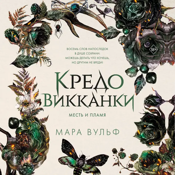 Кредо викканки. Месть и пламя. Обложка