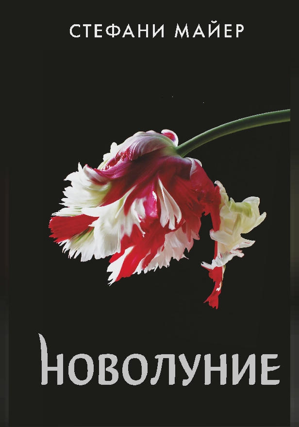 Новолуние (новое оформление). Обложка