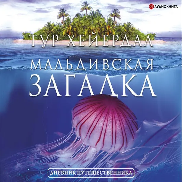 Мальдивская загадка. Обложка