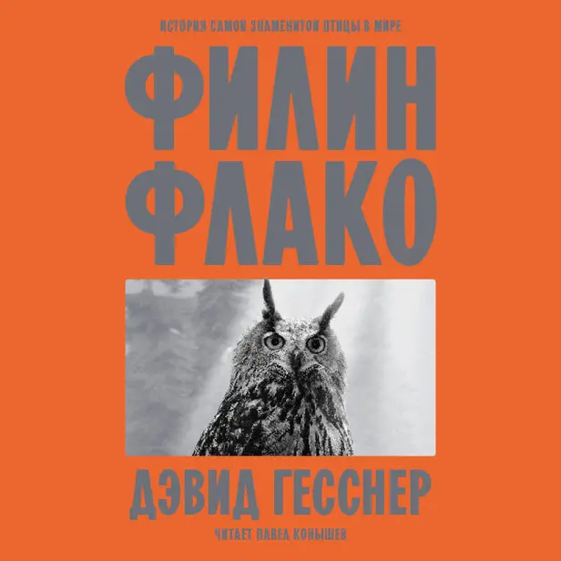 Филин Флако: История самой знаменитой птицы в мире. Обложка