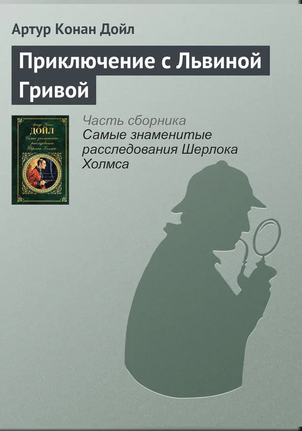 Приключение с львиной гривой. Обложка