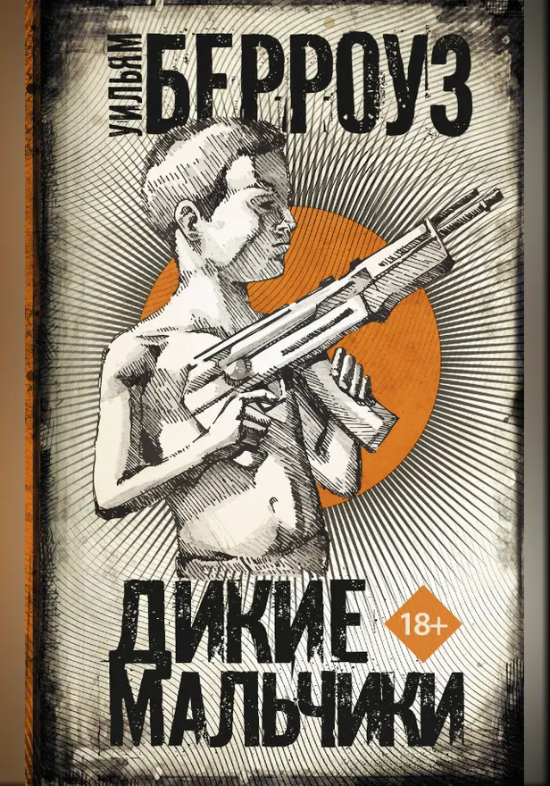 Дикие мальчики. Обложка