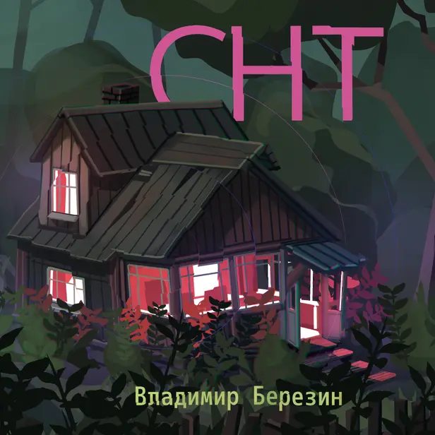 СНТ. Обложка