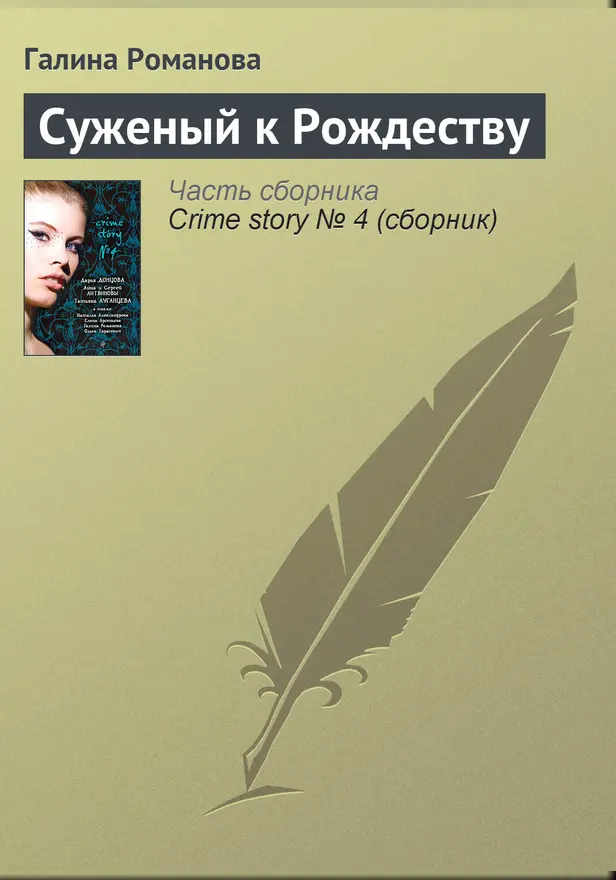 Суженый к Рождеству. Обложка