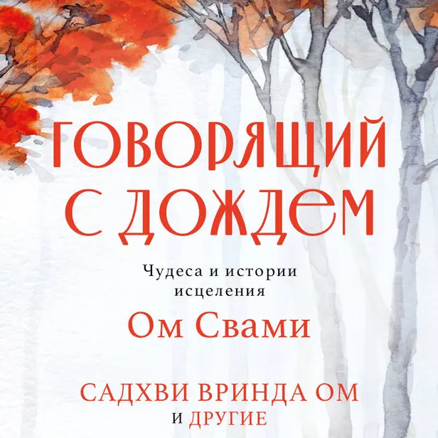 Говорящий с дождем. Чудеса и истории исцеления Ом Свами. Обложка