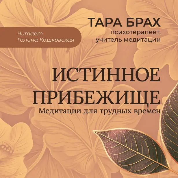Истинное прибежище. Медитации для трудных времен. Обложка