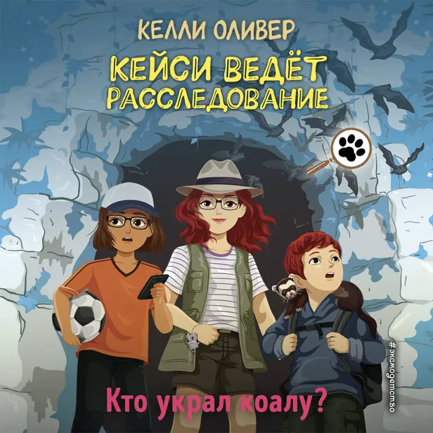 Кто украл коалу?. Обложка