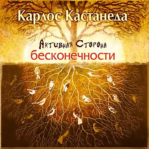 Активная сторона бесконечности. Обложка