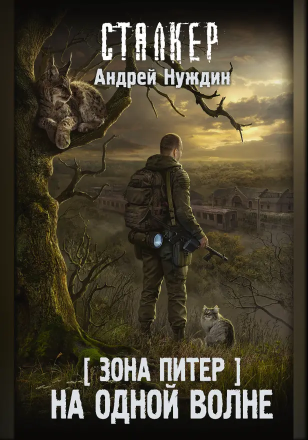 Зона Питер. На одной волне. Обложка