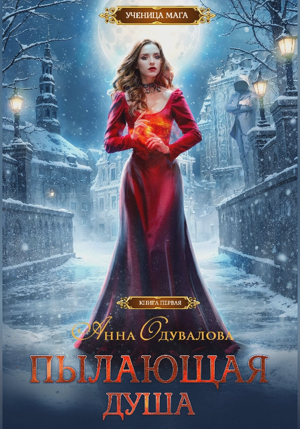 Пылающая душа. Обложка