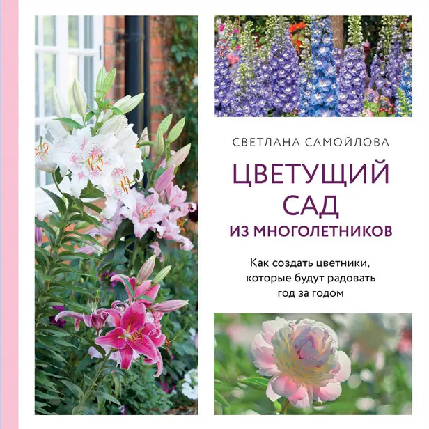 Цветущий сад из многолетников. Как создать цветники, которые будут радовать год за годом. Обложка
