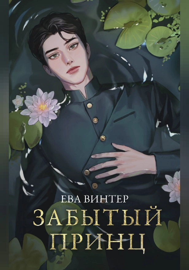 Забытый принц. Обложка