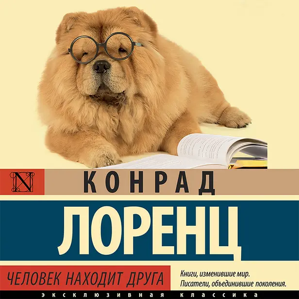 Человек находит друга. Обложка