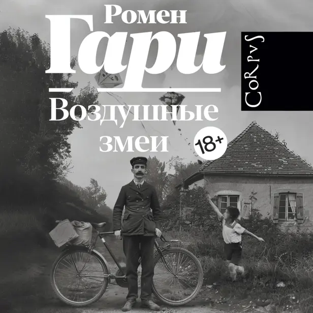 Воздушные змеи. Обложка