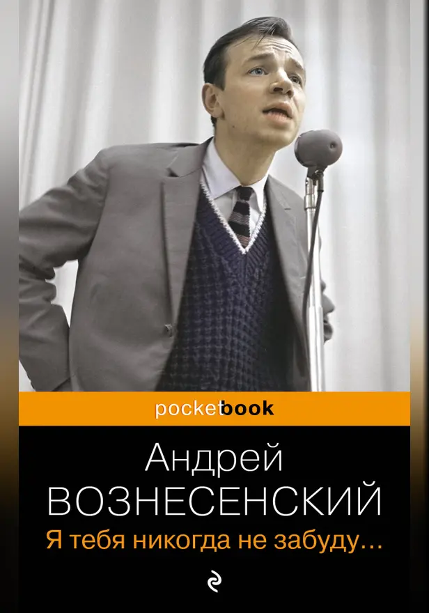 Я тебя никогда не забуду.... Обложка